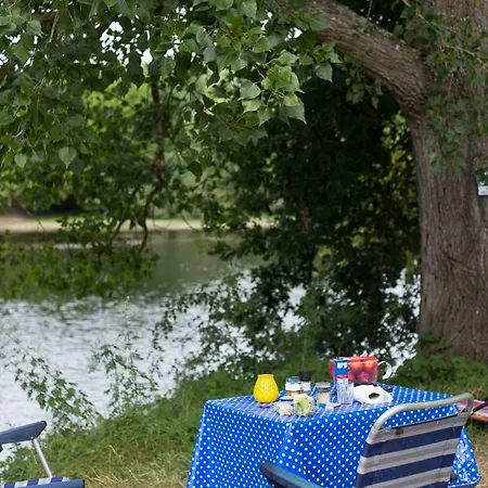 キャンプ場 Camping Le Perpetuum